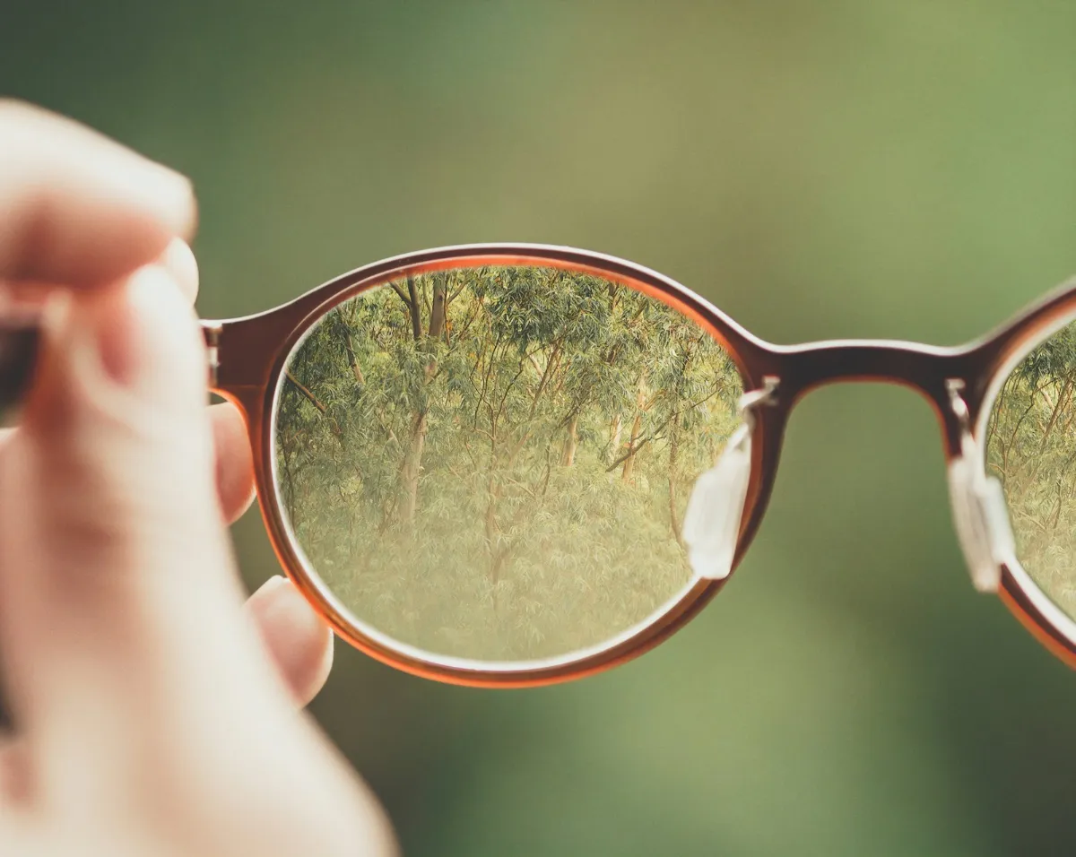 Spectacles held up against an outdoor view